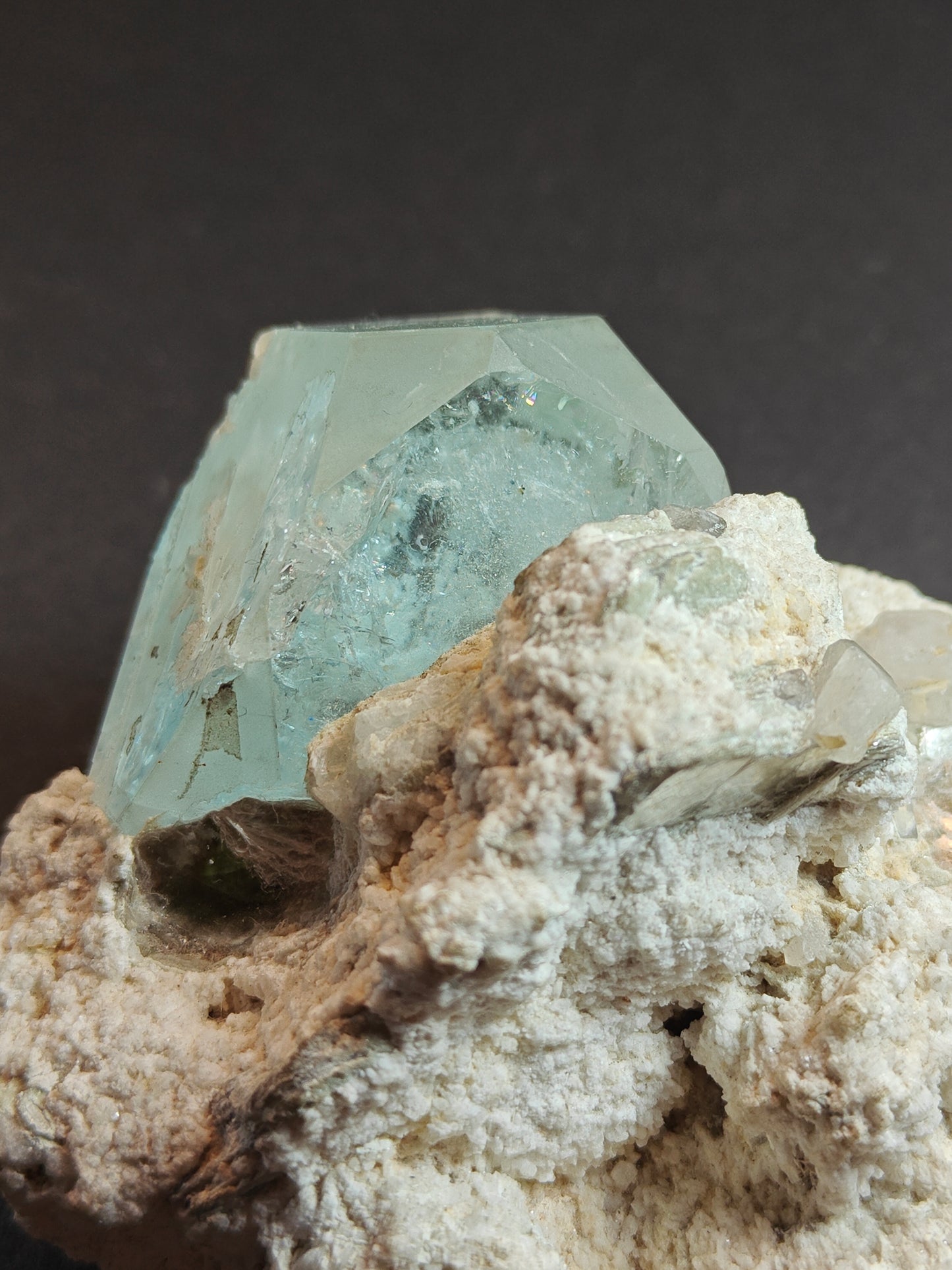 Zeldzaam aquamarijnspecimen met apatiet en muscoviet op matrix