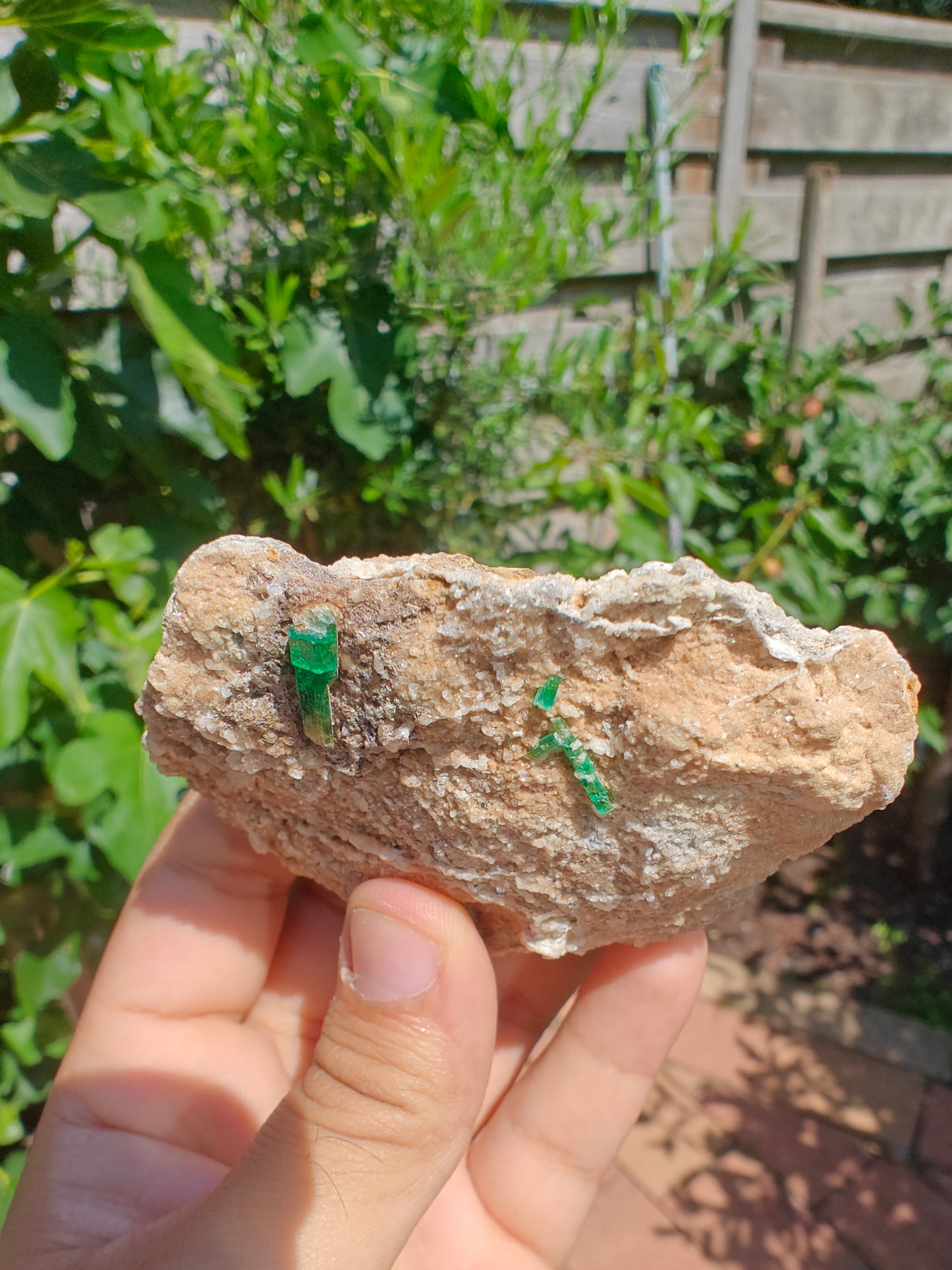 Emerald on Matrix from Pakistan