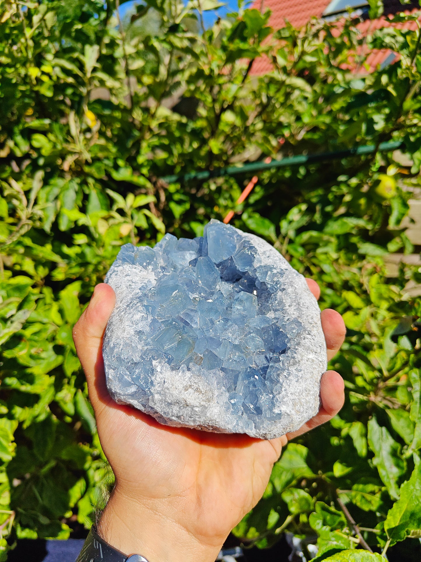 Grote Celestien Cluster uit Madagascar 15 x 12 x 5 cm 1.9 kg