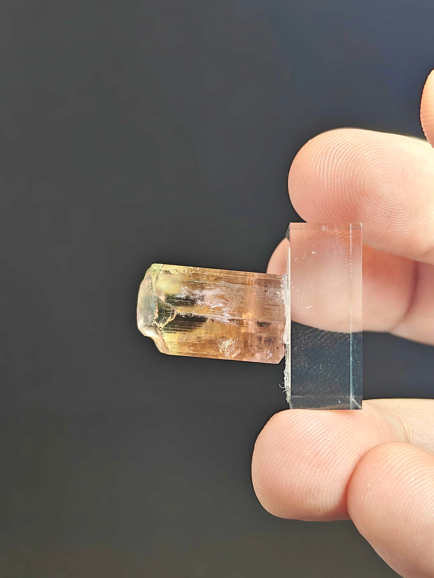 Bicolor Tourmaline Crystal From Brazil