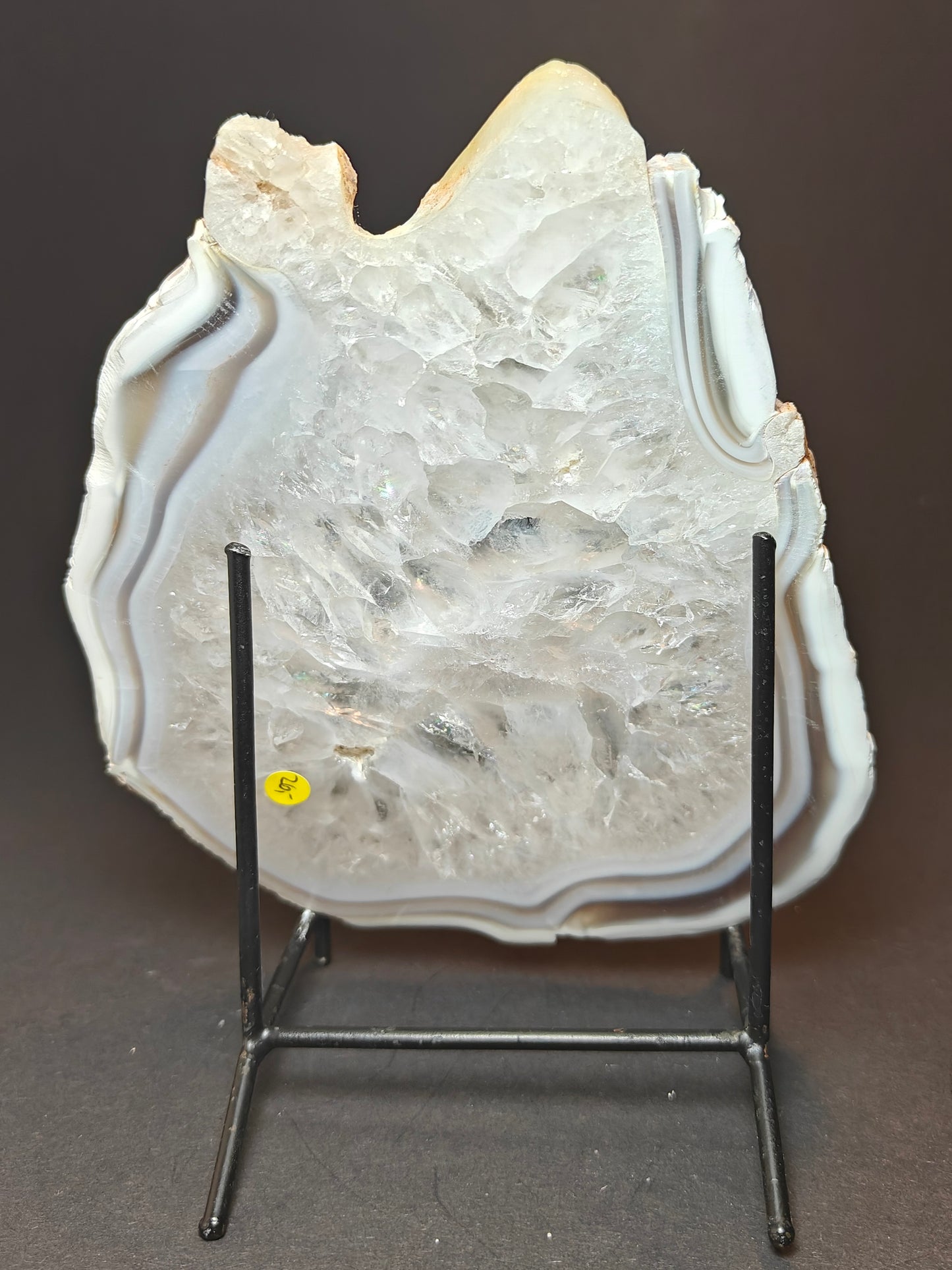 Stunning Agate Slice with Rich Colors – 565 Grams