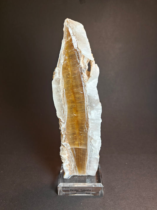 Bicolor Selenite Specimen from Spain