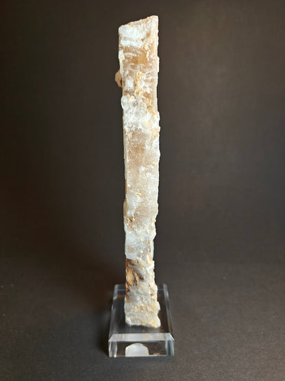 Bicolor Selenite Specimen from Spain
