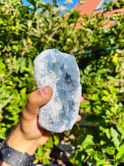 Grote Celestien Cluster uit Madagascar 15 x 12 x 5 cm 1.9 kg