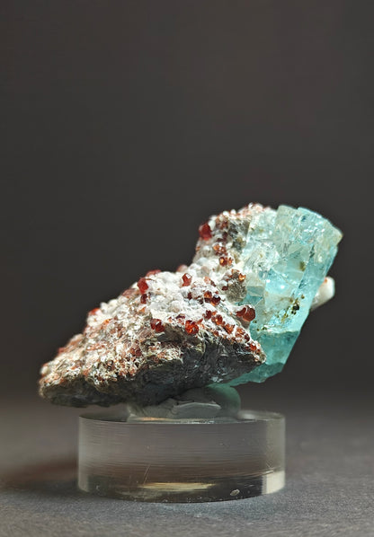 Rare Aquamarine Specimen with Garnets on Matrix