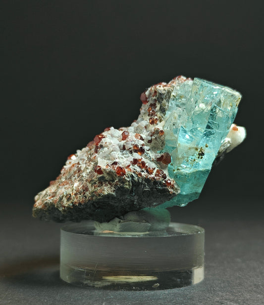 Rare Aquamarine Specimen with Garnets on Matrix