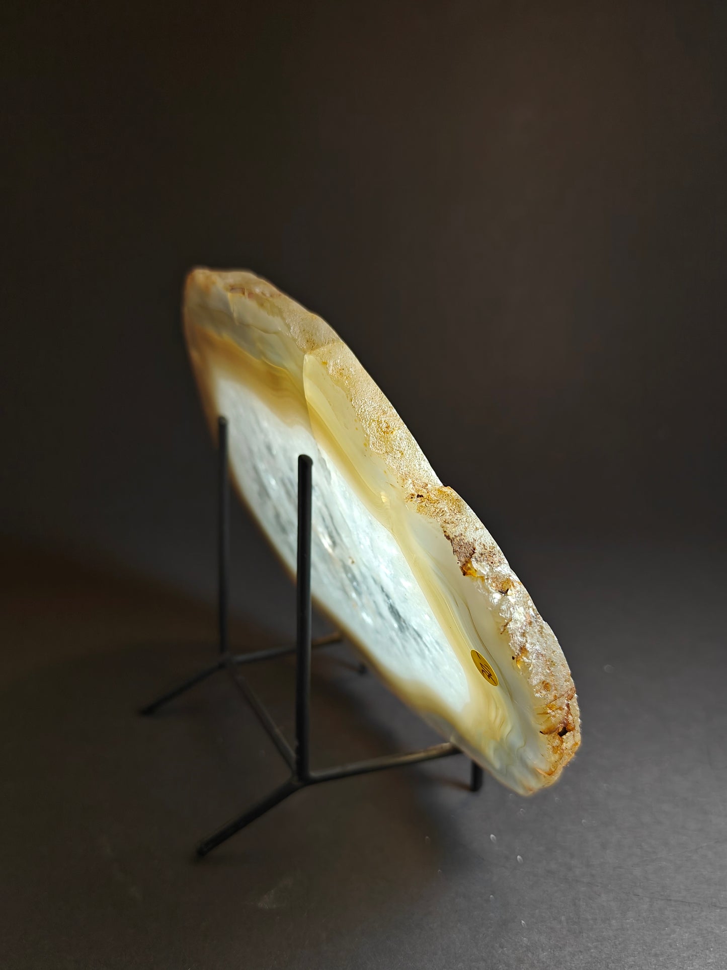 Large Agate Slice – 615 Grams
