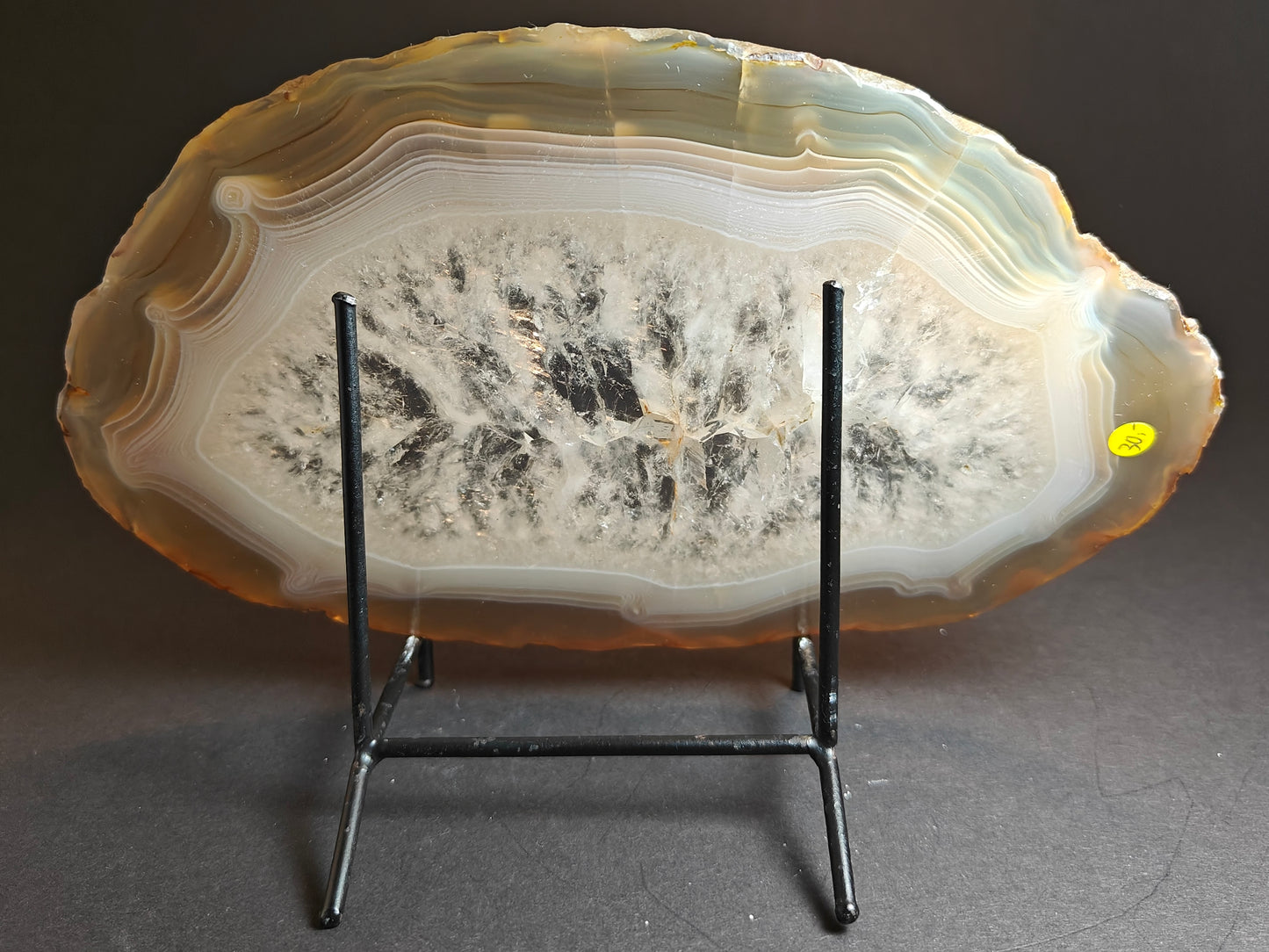 Large Agate Slice – 615 Grams
