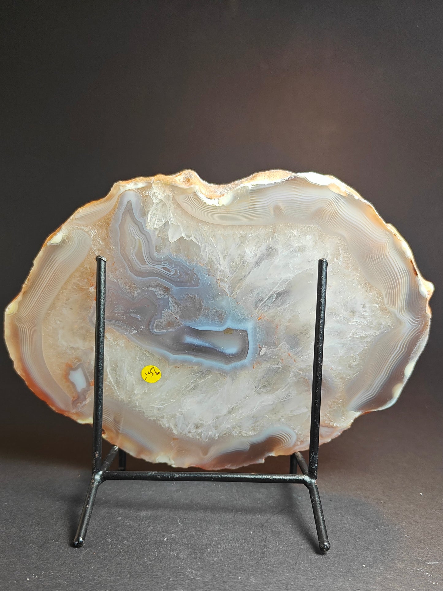 Vibrant Agate Slice – 552 Grams