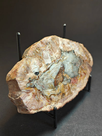 Petrified Wood from Madagascar – 310 Grams