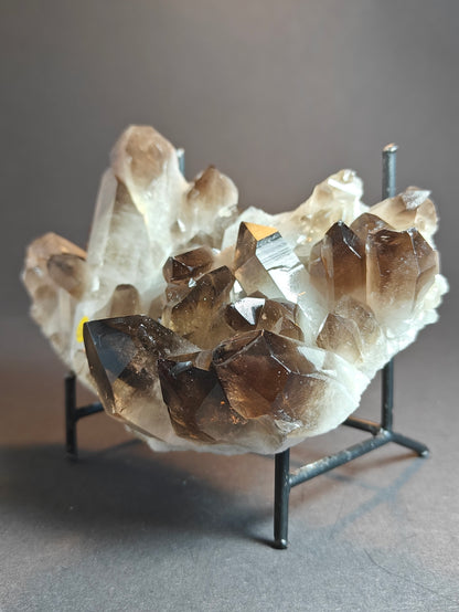 Smoky Quartz Cluster from Brazil – 550 Grams