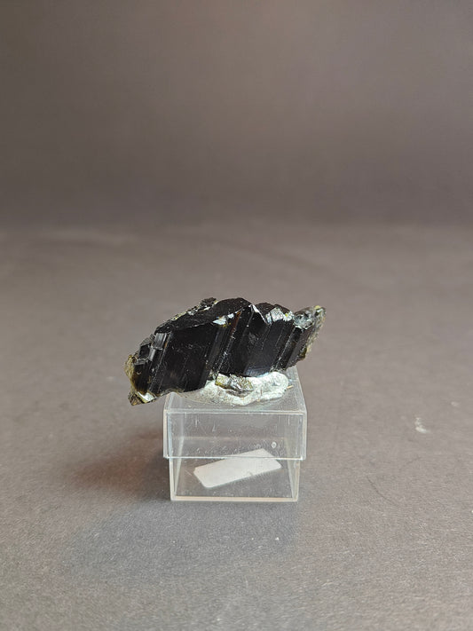 Epidootspecimen uit Spanje