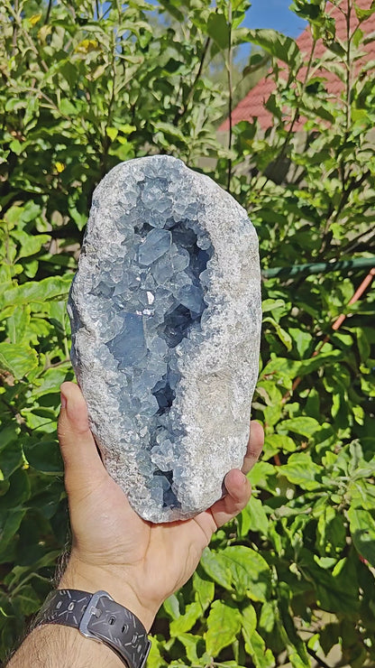 Grote Celestien Cluster uit Madagascar 22 x 12 x 9 cm 3.7kg